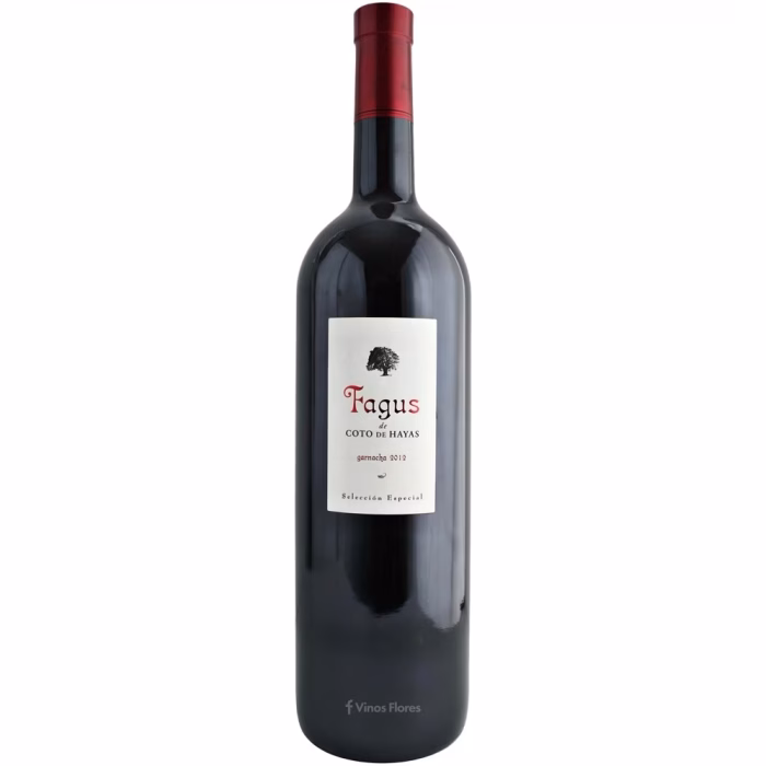 Botella de vino tinto Fagus Garnacha Selección Especial 2012 formato Magnum 1,5L de la denominación de origen Campo de Borja